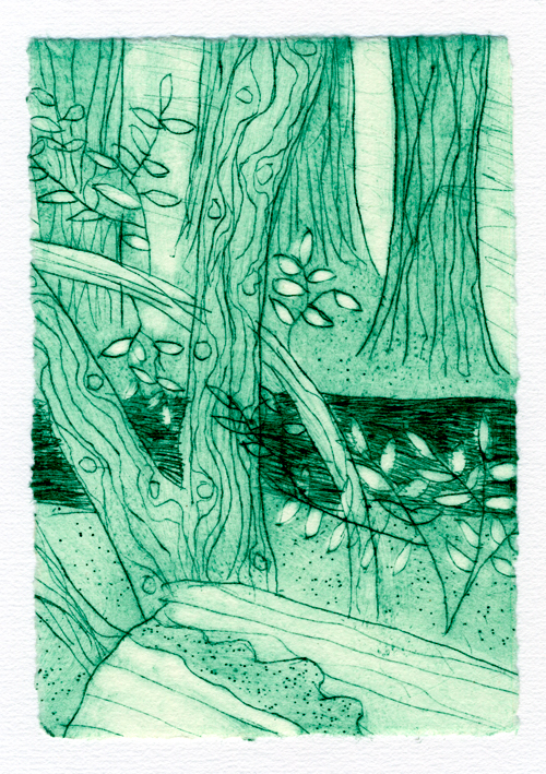shannon-trees-drypoint